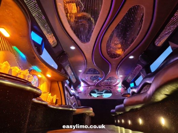 inside limousine